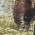 Far Cry Primal Cave Bear Vs Young Woolly Mammoth