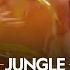 Jungle Jeopardy Primal Survivor ह न द Full Episode S2 E2 National Geographic