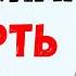 Мое сердце с тобой Ольга Павловец пережила смерть сына и снова стала мамой Жизненный путь звезды