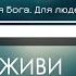 Смотрю я на Христа Дивлюсь я на Христа С Ним я победил Ты верою живи минус фонограмма караоке