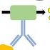 ELISA Enzyme Linked Immunosorbent Assay