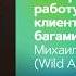 Как организовать работу поддержки с клиентом и найденными багами Михаил Никитин