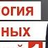 Психология интимных отношений 1 Александр Шевченко Проповеди христианские