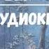 ПЛАСТИЧЕСКИЙ ХИРУРГ ПОПАЛ В 17 ВЕК 2 АУДИОКНИГА аудиокниги попаданцы фантастика