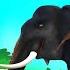 ക മ പന ന Kids Cartoon Stories Songs Elephant Songs Stories Kombanana