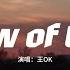 王OK Shadow Of The Sun 原唱 Max Elto And I Ll Be Waiting In The Shadow Of The Sun 動態歌詞MV