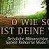 DIE MEISTERSINGER Heilig Aus Der Deutschen Messe Franz Schubert Ltg KLAUS BREUNINGER