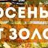 Пусть осень жизни будет золотой День пожилого человека 2020 год