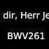 Allein Zu Dir Herr Jesu Christ BWV 261