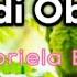 Obladi Oblada Gabriela Bee Lyrics