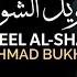 Taweel Al Shawq Nasheed Without Music Lyrics Translation By Ahmad Bukhatir Slowed Reverb