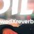 DIL SlowedXreverb Bilal Saeed Punjabi Song Musiclofi