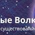 Валерий Увалов Стальные волки 2 Право на существование