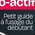 Investir Dans Le Bitcoin Et Les Crypto Actifs Petit Guide Introductif à L Usage Des Débutants