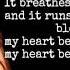 Miley Cyrus My Heart Beats For Love Lyrics