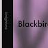 Linkin Park Blackbirds Redone Mix Robot Boy Mixer GhostsorGoatsheckelmann