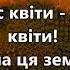 Пісня Сине небо жовте поле