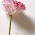 How To Make A Carnation Flower DIY Paper Flower