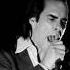 Nick Cave And The Bad Seeds Brother My Cuo Is Empty Lyrics