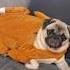 Hey What S Going On Here Dog Pug Cute Funny Fyp Shorts