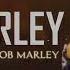 Bob Marley Greatest Hits Full Album The Very Best Of Bob Marley Songs Playlist