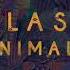 Glass Animals Toes 432hz