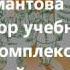 На сколько часов рассчитаны учебники Русский язык 5 элементов