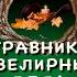 Травник Ювелирные дела Книга 8 Константин Назимов Аудиокнига