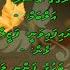 Kaakuhey Isnagaanee Loabeega Kerigen Pyar Do Pyar Lo F Solo By Dhivehi Karaoke Mysan