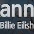 Billie Eilish Xanny Karaoke Version