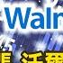 美科技股漲 沃爾瑪升展望 市場主流 股優於債 金臨天下 20241120 Tvbsmoney