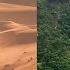 How The Sahara Desert Is Turning Into A Farmland Oasis GREENING THE DESERT PROJECT