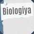 Biologiya Şebnem Eyvazova Kanalı Canlı Yayında