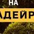 Отпуск остров Мадейра 1000 в неделю