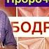 Пророческий семинар Бодрствуйте Церковь Даятель жизни Киев 17 06 2023 Максим Ткаченко