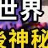 驚呆全世界 川普背後神秘人終於現身 川普宣布首位重要大員 上任要幹7件大事 習湖北之行再現異常 大面積塌方開始了 加拿大10年簽證重大變化 華人圈炸鍋 萬維讀報 20241107 2 FACC