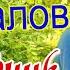 Классный Мудрый ТРЕК со Смыслом Чудесно Исполнено Евгений Коновалов Любовник и Любовница TMS