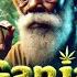 Ganja Paradise Chill Reggae Vibes Weed Anthem 2024