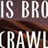 Crawl Chris Brown Lyrics