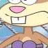 Sandy Cheeks Proves Land Creatures Are Better