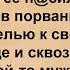 Как монашка в парк на прогулку ходила Сборник анекдотов