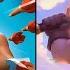 CLASH ROYALE TRAILERS OF ALL CHAMPIONS