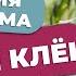 3 варианта Аккомпанемента Старый Клён Шлягер За Вечер Полный Разбор Для Начинающих НОТЫ