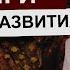 Лучшие книги для саморазвития Что почитать Саморазвитие Бегущая с волками Демиан