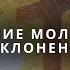 Служение хвалы и поклонения 25 10 2024