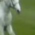 A Tribute To Desert Orchid