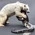 A Polar Bear Strays Into The Street And Fights With A Giant Python But No One Helps