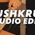 Krushkrush Hussain Ali Edit Audio