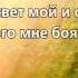 Псалом 26 Господь свет мой