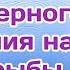 Влияние атмосферного давления на клев рыбы Как влияет Атмосферное давление на успех рыбалки